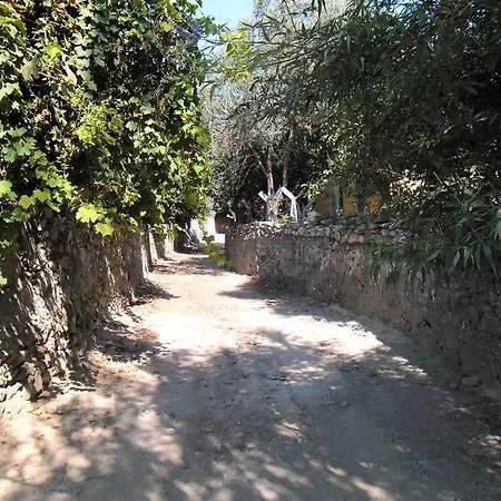 Homestay Zuhal Apart