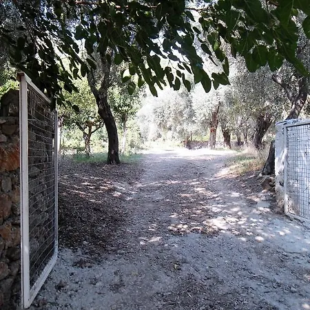 Zuhal Apart Homestay Mazi
