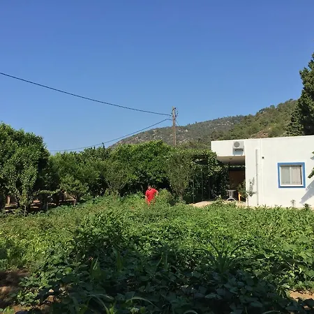 Homestay Zuhal Apart *